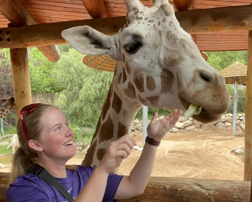 Grace feeding a giraffe at the Cheyenne Mountain Zoo (horizontal)
