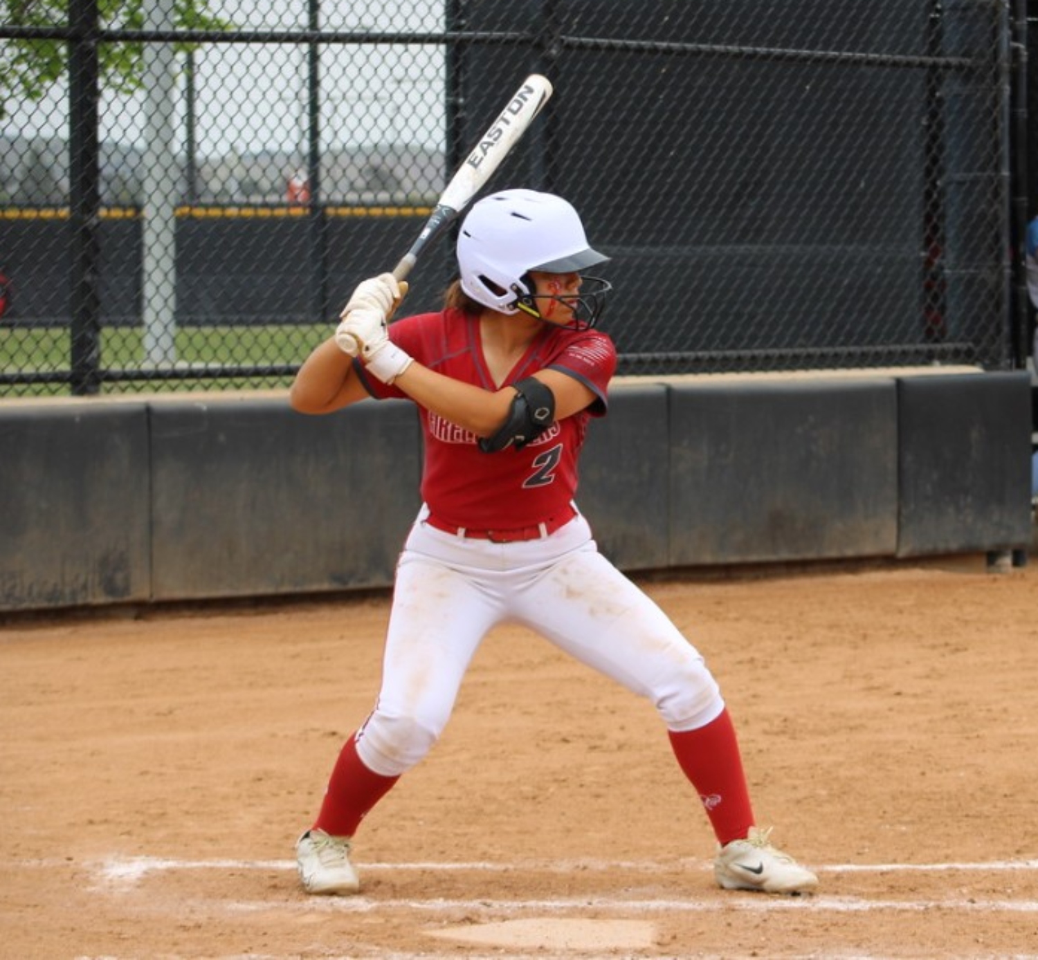 Isabella_Cisneros_Firecrackers_bat
