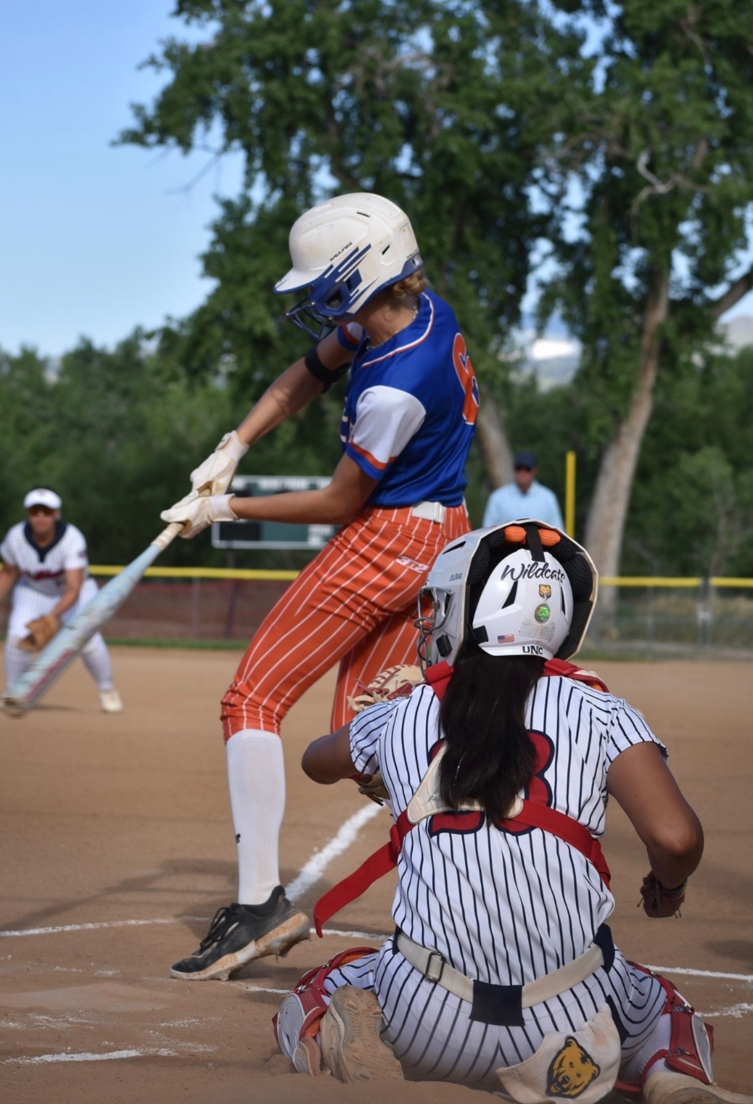 Savannah_Sevier_Southern_Force_bat (1)
