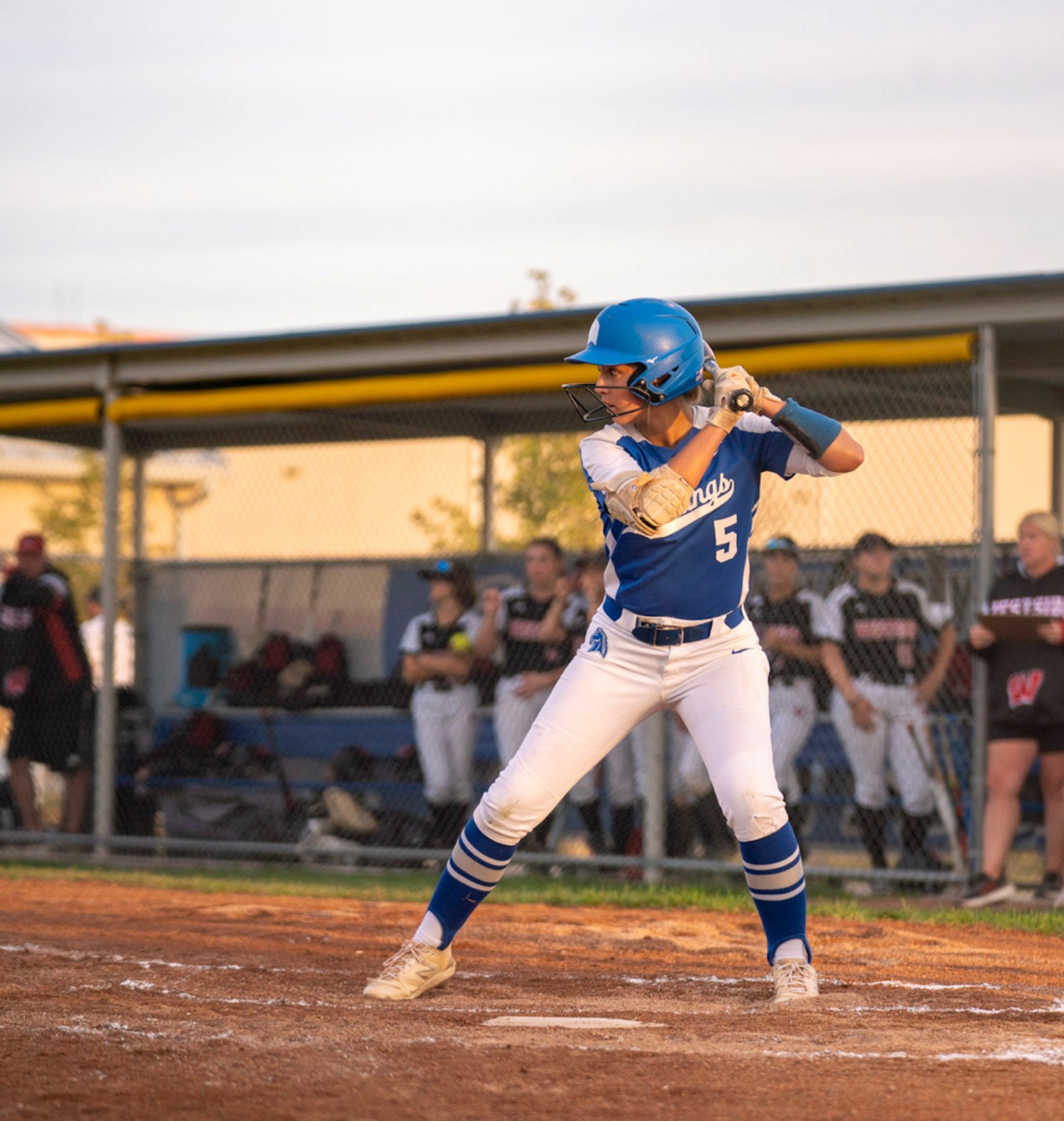 Abby_Beard_Millard_North_bat