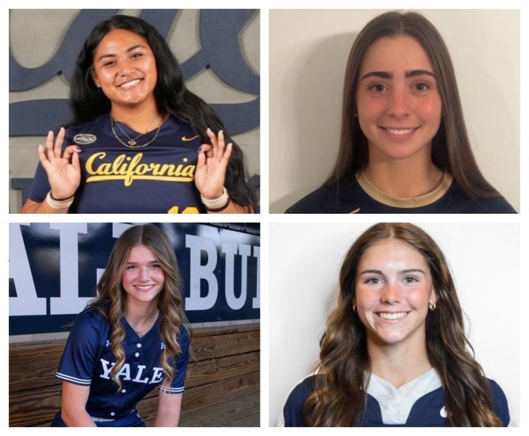 New_Year_2026_collage (1)