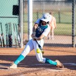 Alena_Mascarenas_Highland_bat