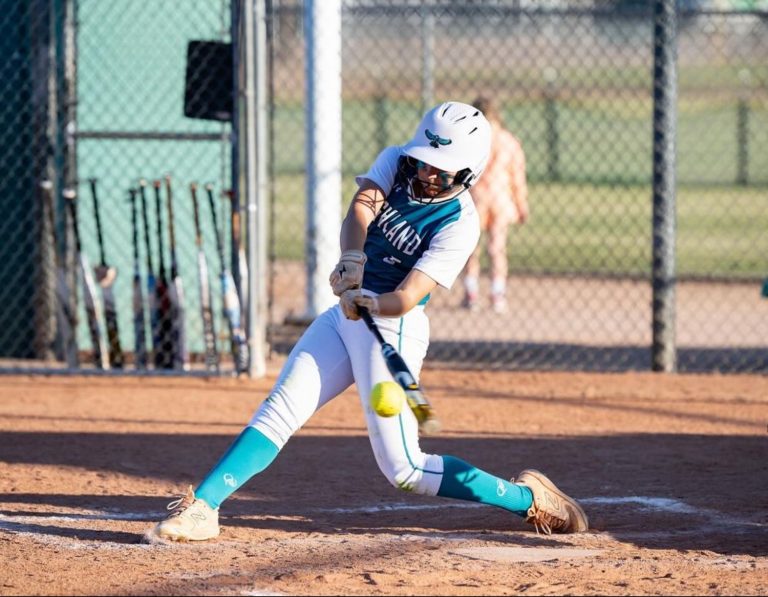 Alena_Mascarenas_Highland_bat