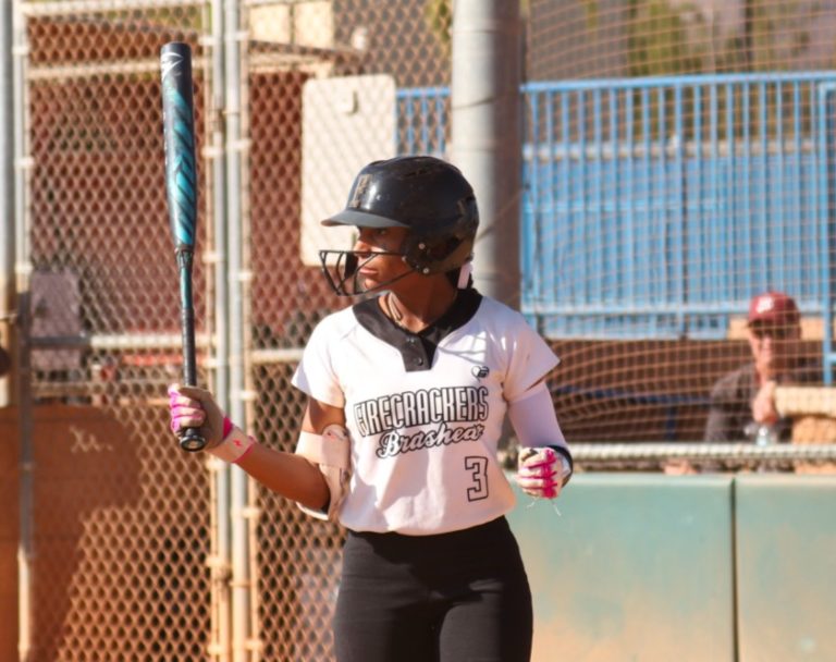 Nevaeh_Wilson_Firecrackers_bat