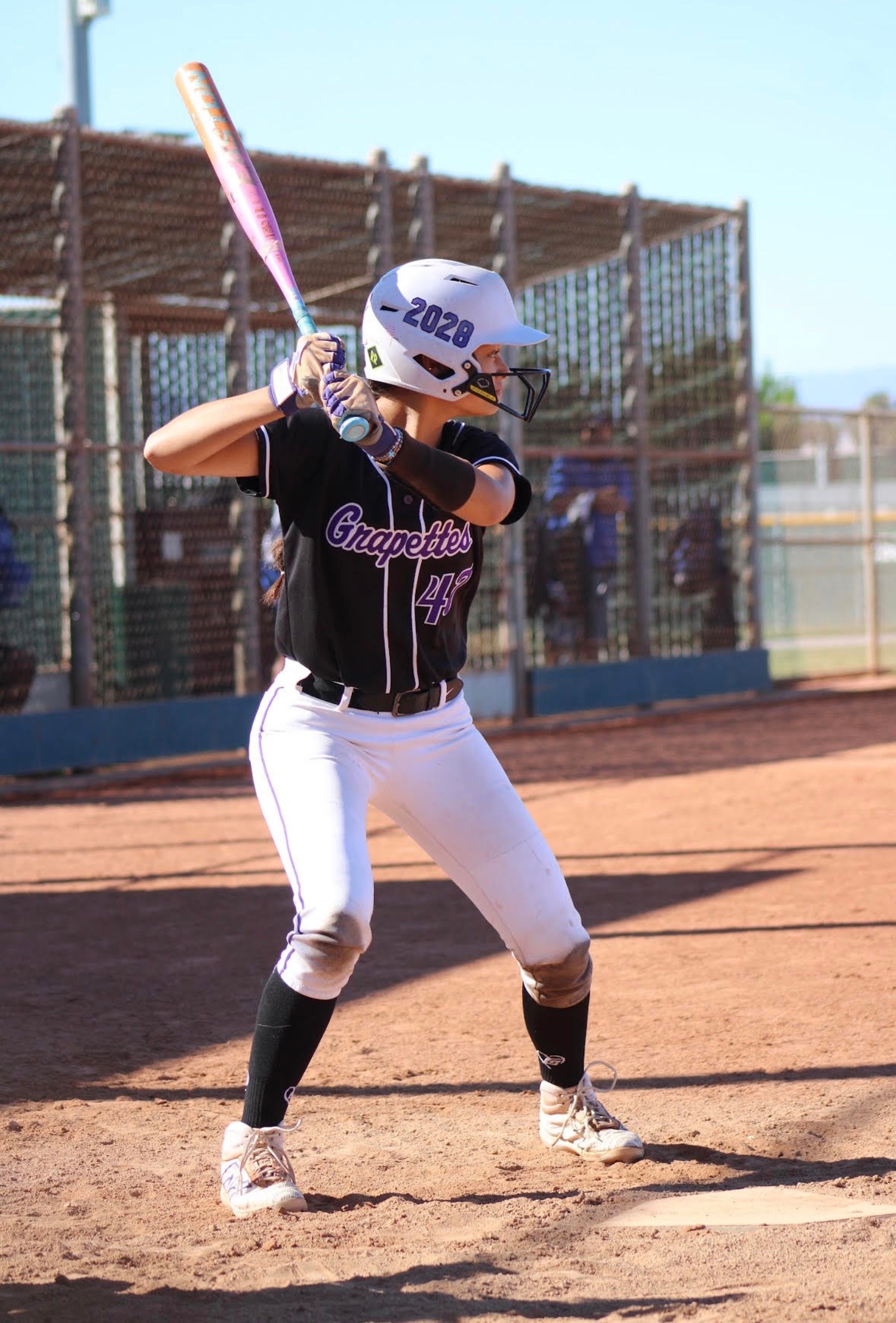 Kelsey_Erben_Cal_Grapettes_bat