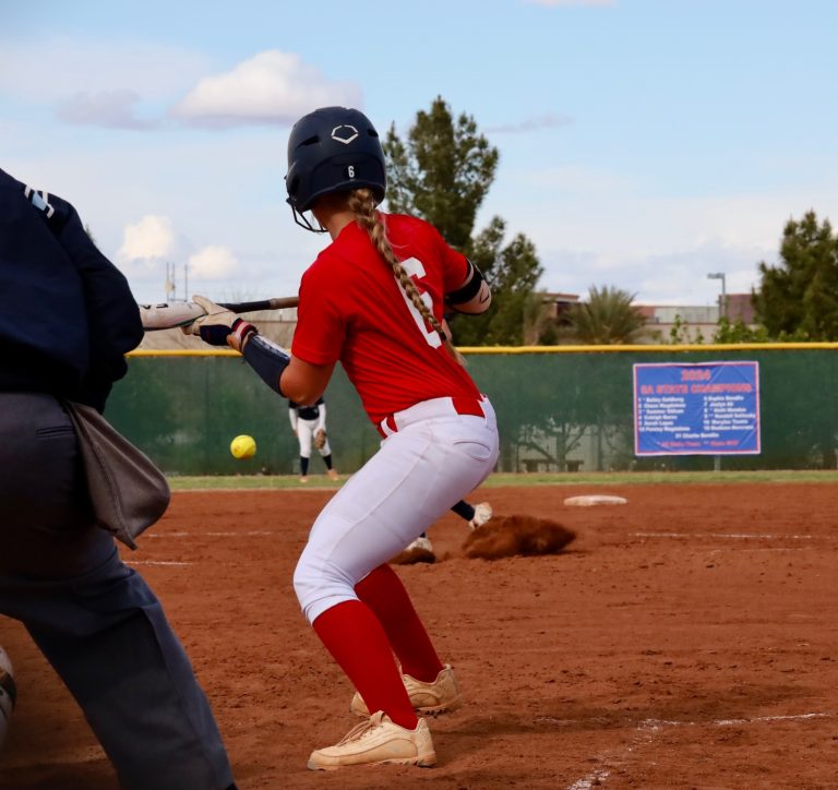 Sophie_Bendlin_Coronado_bunt