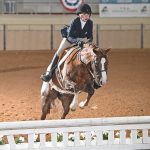 Spencer_Biggs_horse