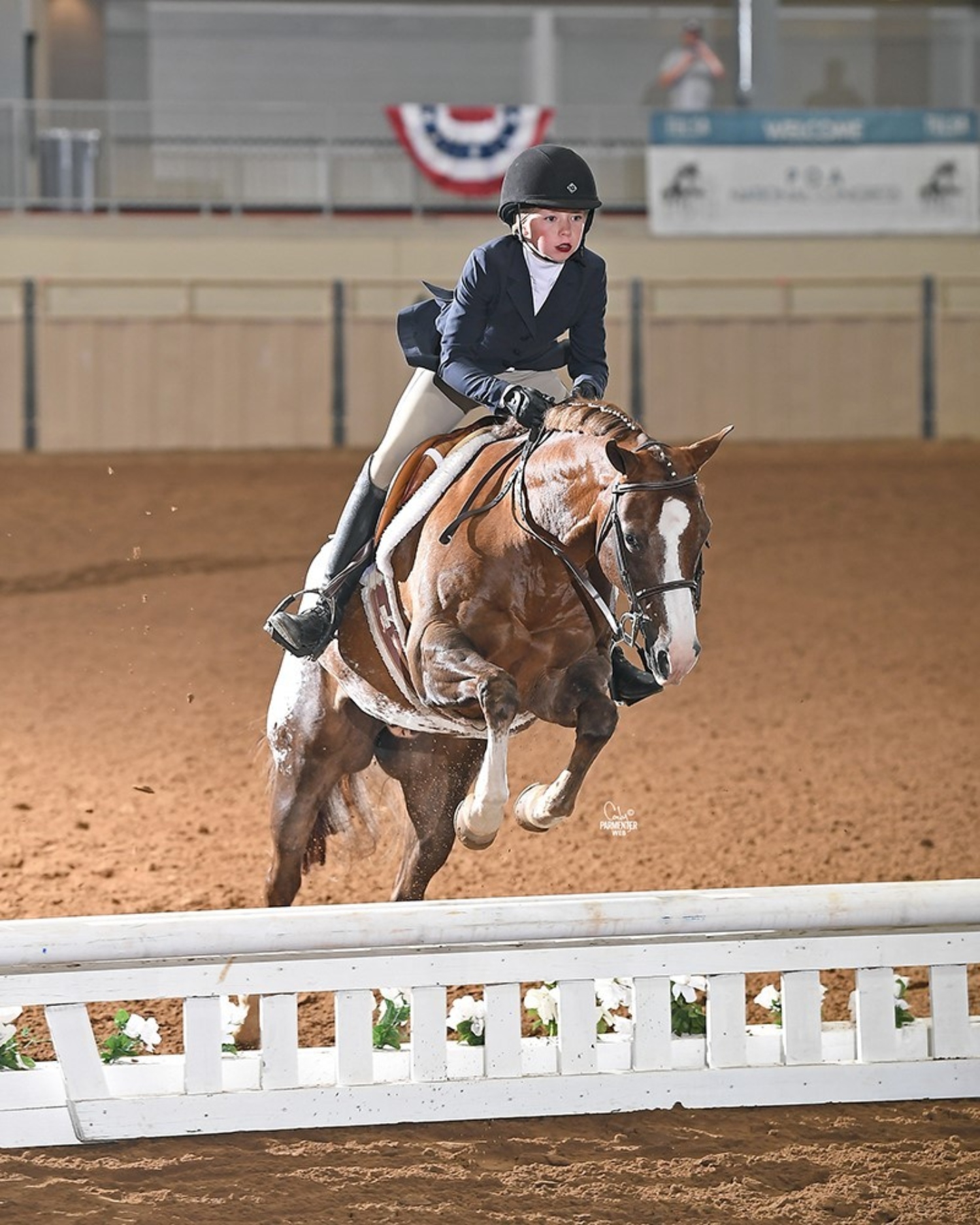 Spencer_Biggs_horse