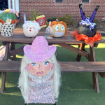 Photo of all pumpkins